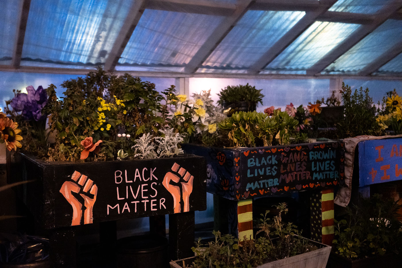 This greenhouse at George Floyd Square in Minneapolis was established as a space for community expression and remembrance following the murder of George Floyd in May 2020. The planters, decorated with "Black Lives Matter" and "Black Gang Brown Lives Matter" slogans, signify the ongoing activism and social justice movements in the area. The greenhouse, with its floral displays, represents a continued commitment to honoring Floyd's memory and advocating for racial equality. It serves as a testament to the community's resilience and their efforts to cultivate dialogue and foster change.