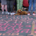 A dog on the painted streets at George Floyd Square during the "Rise and Remember" festival.
