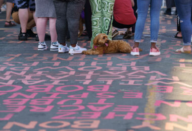A dog on the painted streets at George Floyd Square during the "Rise and Remember" festival.