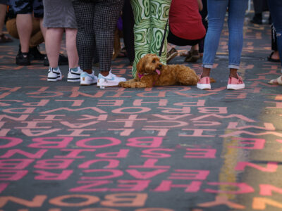 Dog at George Floyd Square during Rise and Remember Festival
