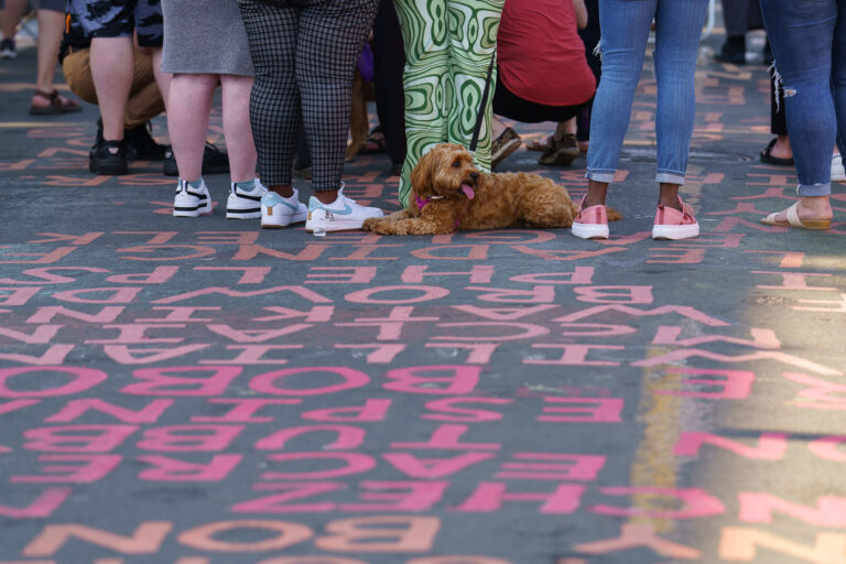 Dog at George Floyd Square during Rise and Remember 3 A dog on the painted streets at George Floyd Square during the "Rise and Remember" festival.