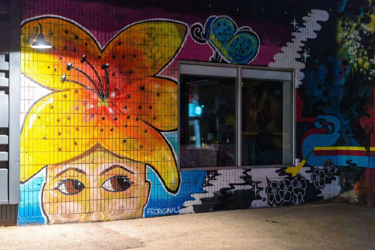 Sara Fohrenkamm mural in South Minneapolis