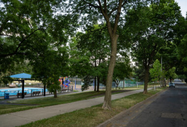 A park in South Minneapolis.