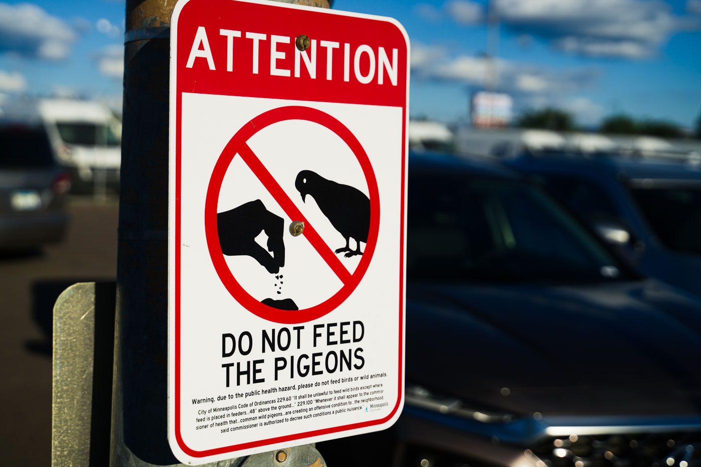 Do not feed pigeons sign on a pole