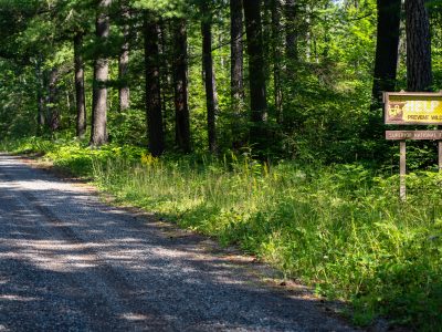 Prevent Wildfires sign in the Superior National Forest in 2022