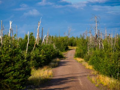 Tomahawk Road, Pagami Creek Burn Area, Superior National Forest