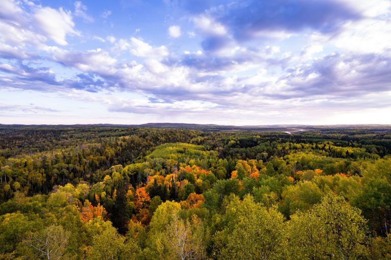 Autumn Colors Over Superior National Forest, Minnesota 2 Autumn foliage colors the tree canopy of Superior National Forest in northeastern Minnesota.