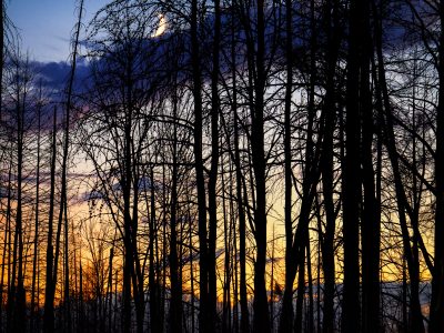 Moon rising over Superior National Forest