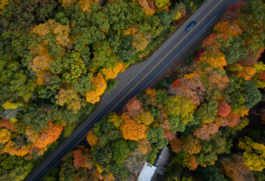 An aerial view captures the dense fall canopy around Lake Minnetonka in Deephaven, where mature hardwoods and pines create a patchwork of orange, yellow, and deep red. Many of the winding roads in this part of the Lake Minnetonka shoreline were laid out in the early 20th century as the area transitioned from summer cottages to year-round neighborhoods. Today the tree cover remains one of Deephaven’s defining features, with protected woodland corridors and long-established residential plots preserving the character of this lakeside community.