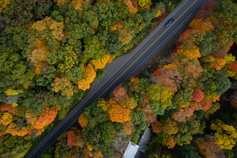 Autumn Canopy Along Deephaven’s Lakeside Roads 2 An aerial view captures the dense fall canopy around Lake Minnetonka in Deephaven, where mature hardwoods and pines create a patchwork of orange, yellow, and deep red. Many of the winding roads in this part of the Lake Minnetonka shoreline were laid out in the early 20th century as the area transitioned from summer cottages to year-round neighborhoods. Today the tree cover remains one of Deephaven’s defining features, with protected woodland corridors and long-established residential plots preserving the character of this lakeside community.