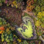 An overhead view of a small wetland basin in Deephaven shows the transition into late fall around Lake Minnetonka. Seasonal drawdown has exposed the cracked mudflats around the pond’s edge, while a layer of duckweed or algae collects in the remaining water at the center — a common pattern in shallow basins fed by spring runoff and intermittent groundwater. Surrounding hardwoods and pines move through peak color, forming the dense forest cover typical of the Minnetonka shoreline communities, where preserved ravines, lowlands, and wooded parcels give the area its distinctive mix of lakefront development and natural habitat.