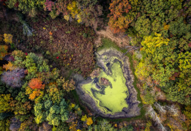 An overhead view of a small wetland basin in Deephaven shows the transition into late fall around Lake Minnetonka. Seasonal drawdown has exposed the cracked mudflats around the pond’s edge, while a layer of duckweed or algae collects in the remaining water at the center — a common pattern in shallow basins fed by spring runoff and intermittent groundwater. Surrounding hardwoods and pines move through peak color, forming the dense forest cover typical of the Minnetonka shoreline communities, where preserved ravines, lowlands, and wooded parcels give the area its distinctive mix of lakefront development and natural habitat.