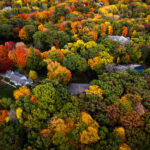 An aerial view over Deephaven captures the dense hardwood canopy that defines the residential areas near Lake Minnetonka each autumn. The neighborhood’s winding roads and homes sit almost entirely beneath mature maple, oak, and basswood trees, which turn a concentrated mix of red, orange, and gold during peak color change. This part of the Minnetonka shoreline developed slowly through the mid-20th century, preserving large wooded lots and green corridors that create the nearly continuous tree cover seen from above. The forested character of these communities—rare for a metropolitan area—remains a major feature of Deephaven’s identity and contributes to its secluded, park-like landscape.