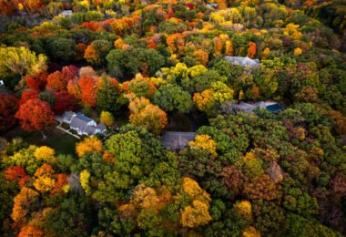 An aerial view over Deephaven captures the dense hardwood canopy that defines the residential areas near Lake Minnetonka each autumn. The neighborhood’s winding roads and homes sit almost entirely beneath mature maple, oak, and basswood trees, which turn a concentrated mix of red, orange, and gold during peak color change. This part of the Minnetonka shoreline developed slowly through the mid-20th century, preserving large wooded lots and green corridors that create the nearly continuous tree cover seen from above. The forested character of these communities—rare for a metropolitan area—remains a major feature of Deephaven’s identity and contributes to its secluded, park-like landscape.
