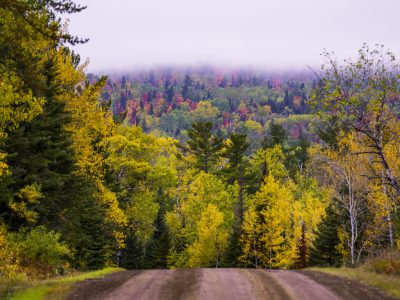 Gravel Road Through Fall Foliage, Arrowhead Trail, Minnesota