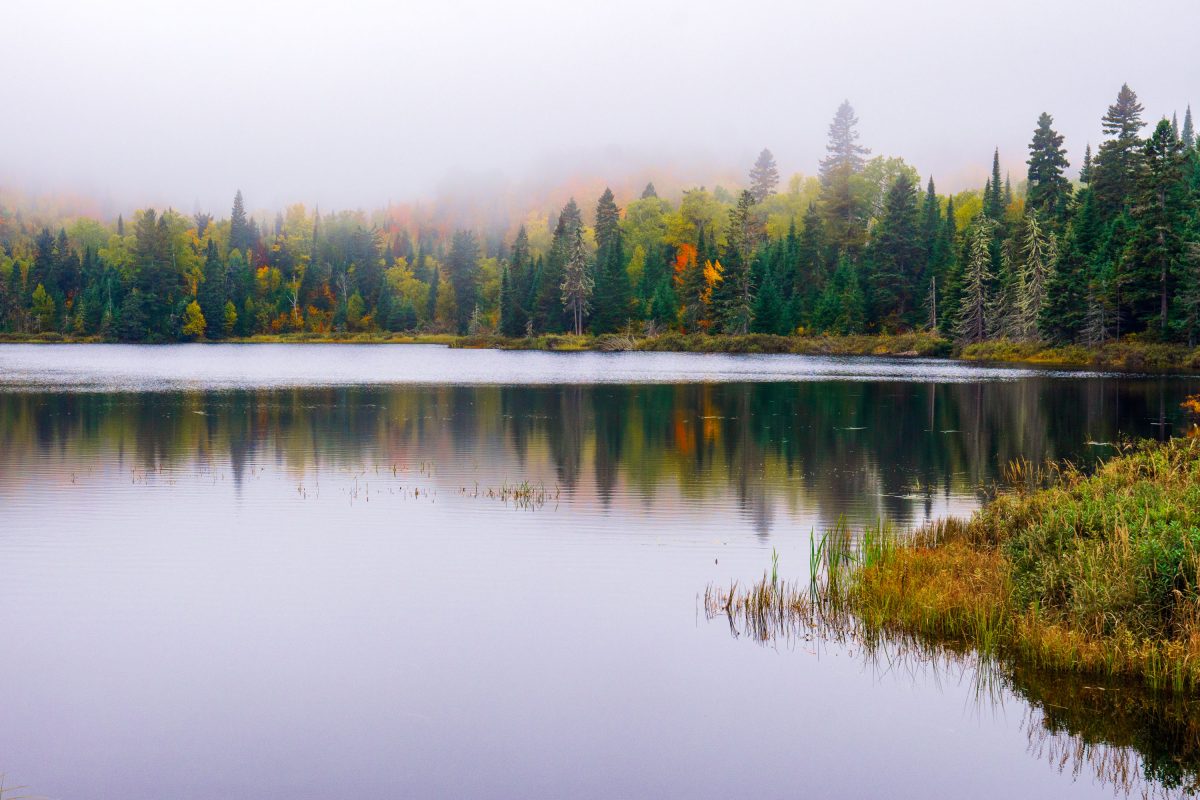 Loft Lake from Shoe Lake Road in Minnesota