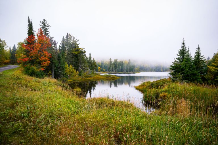 Shoe Lake, Grand Marais, Minnesota 2 Shoe Lake surrounded by autumn forest and wetland grasses near Grand Marais, Minnesota.
