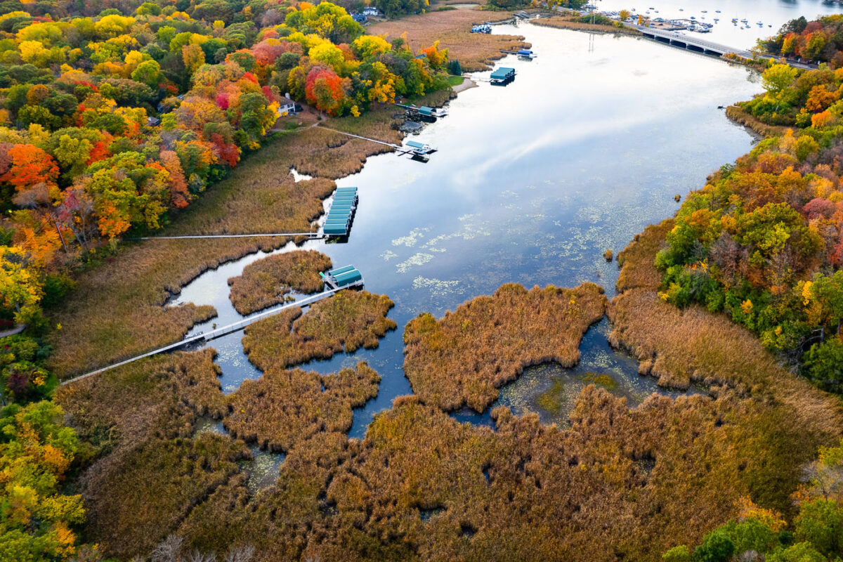 Wetlands and Boat Slips at the Eastern Edge of Lake Minnetonka