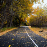 The Midtown Greenway in the fall.