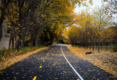 The Midtown Greenway in the fall.