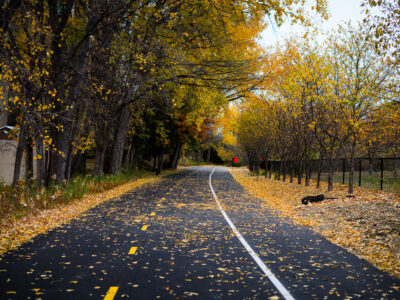 Midtown Greenway, Minneapolis: Fall leaves cover asphalt path