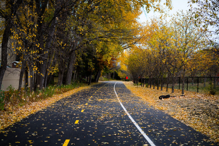 The Midtown Greenway in the fall.
