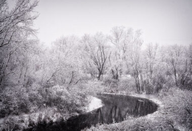 A heavy December 15, 2022 snowfall blankets the woodlands of Theodore Wirth Park in Minneapolis, transforming the Bassett Creek corridor into a monochrome winter landscape. Snow-laden branches bend over the slow curve of the creek, whose dark, unfrozen water provides one of the few contrasts against the dense white canopy. This stretch of Wirth Park—one of the largest urban parks in the Minneapolis park system—follows the natural course of the creek as it winds between restored wetlands, wooded slopes, and ski trails that date back to mid-20th-century park development efforts. The image captures the quiet, insulated atmosphere common in early-season snowstorms, when the park’s trails, waterway edges, and mature hardwoods take on a uniform, frost-covered texture.