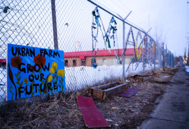 Roof Depot Urban Farm property in South Minneapolis.