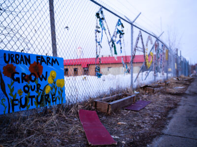 Roof Depot Urban Farm, Minneapolis - February 2023