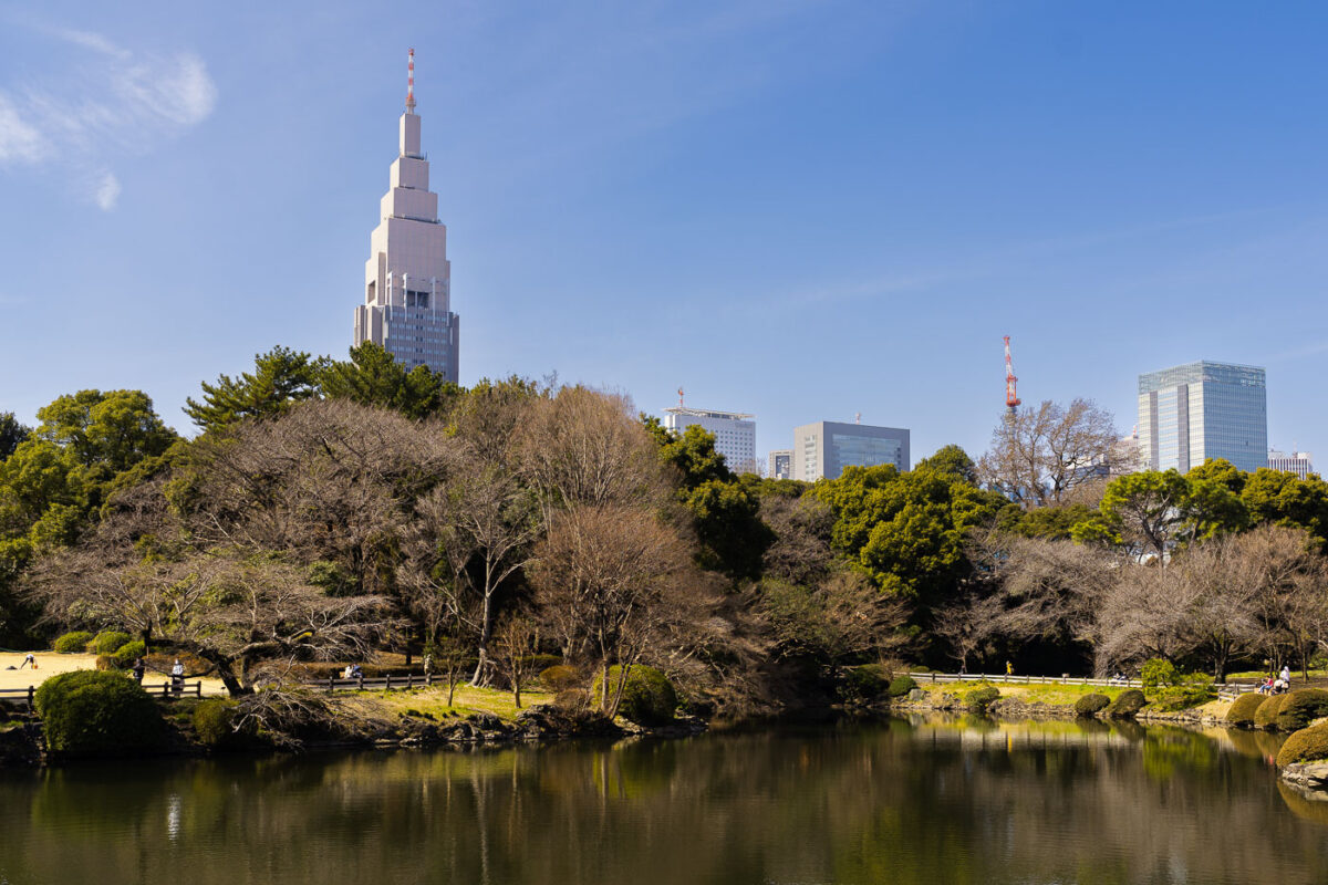 Early Spring Reflections at Shinjuku Gyoen