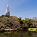 Shinjuku Gyoen National Garden offers a calm, expansive contrast to the dense urban core that surrounds it. Originally part of a feudal estate in the Edo period and later a botanical garden under the Imperial Household Agency, Shinjuku Gyoen opened to the public in 1949 and remains one of Tokyo’s most significant landscaped parks.

In this March 2023 photograph, the garden’s central pond reflects late-winter trees and early seasonal light, while the tiered silhouette of the NTT Docomo Yoyogi Building rises prominently in the background. The juxtaposition underscores how Shinjuku Gyoen functions as a large green refuge within one of the busiest districts in Tokyo, blending historical landscape design with the city’s modern skyline.