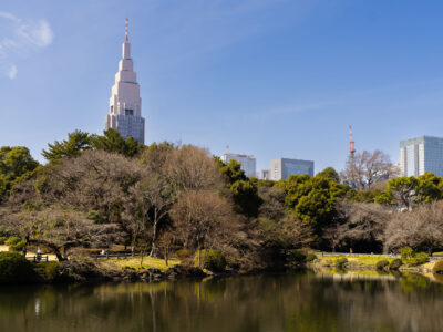 Early Spring Reflections at Shinjuku Gyoen