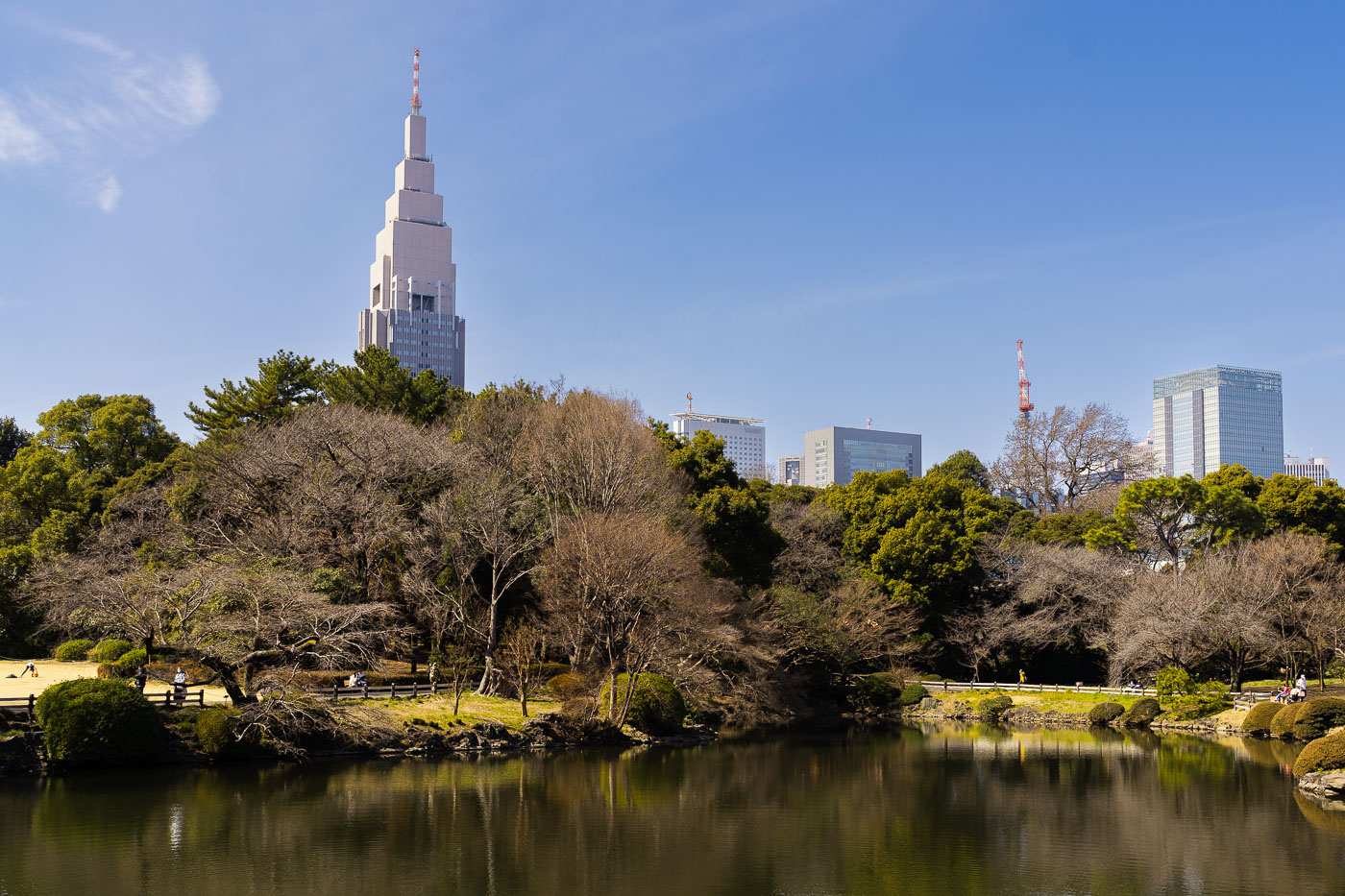 Early Spring Reflections at Shinjuku Gyoen