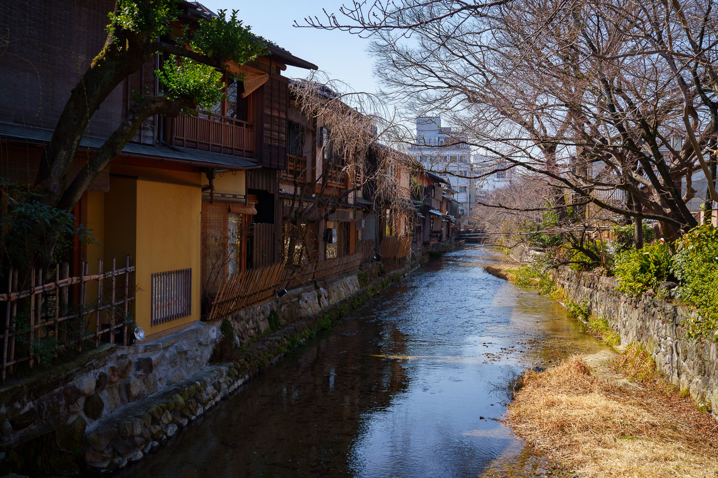 Shirakawa Stream from Tatsumibashi Bridge