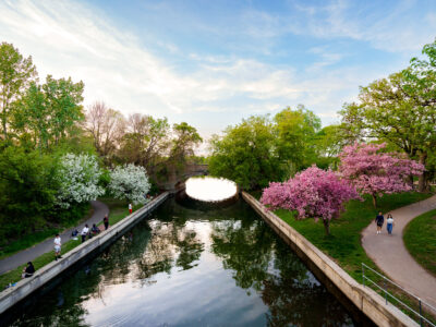 Spring Blossoms on Bde Maka Ska Channel, Minneapolis