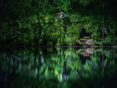 A Wooded Shoreline Path at Cedar Lake, Minneapolis