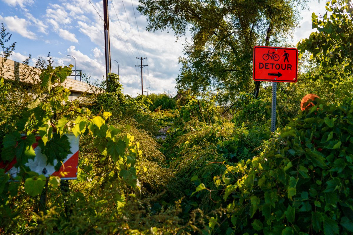 Nature taking the trail back, Cedar Lake Trail Minneapolis