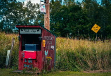 A stand on the side of a country road in middle of Wisconsin selling Fresh Eggs.