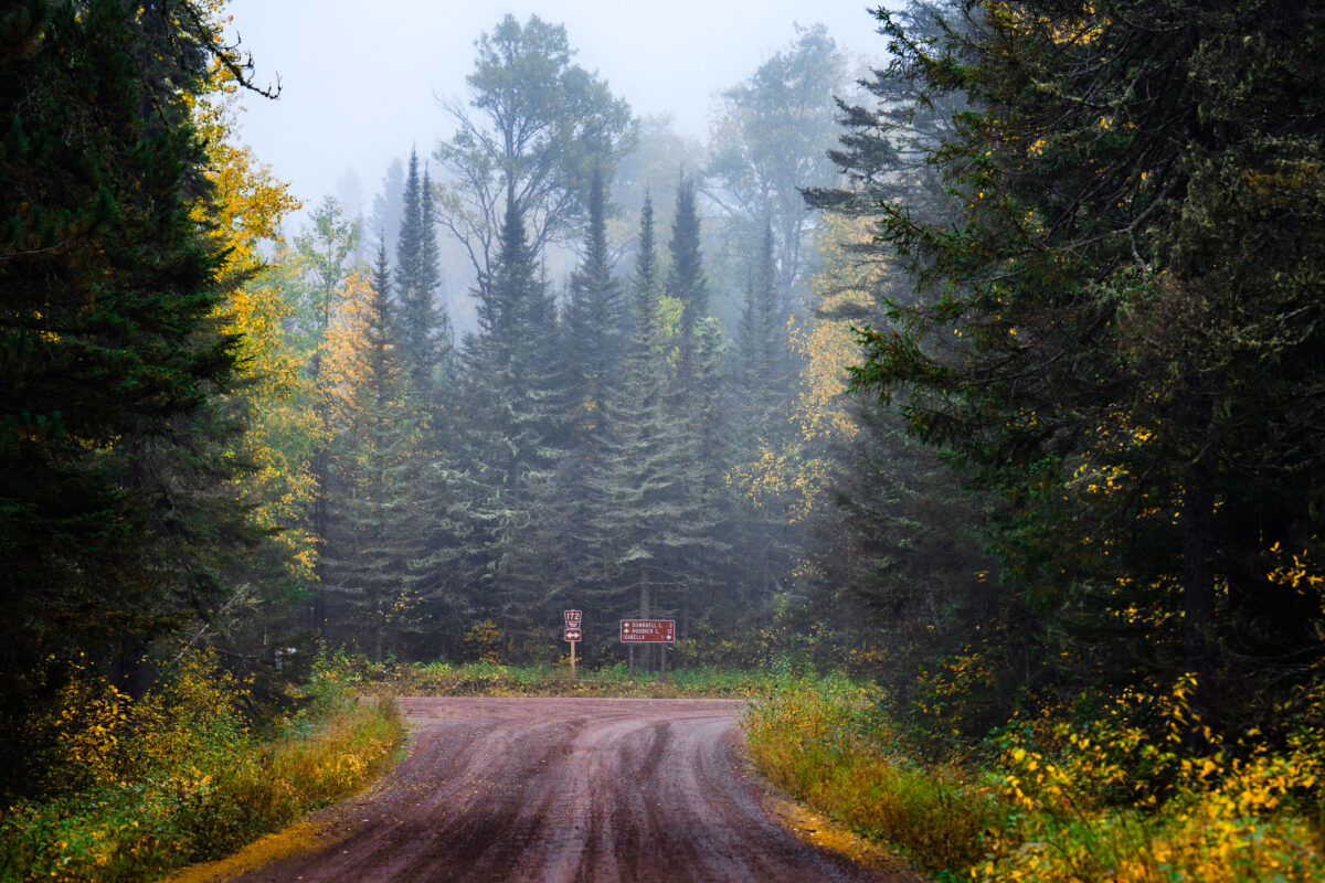 Foggy Road in Superior National Forest, Minnesota