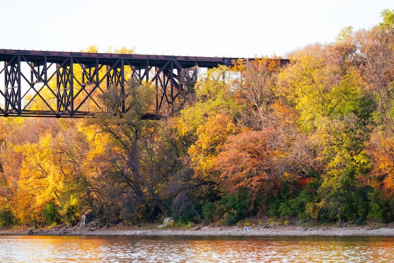 Railroad Trestle Bridge, Winchell Trail, Minneapolis 4 Railroad trestle spans above autumn foliage and the Mississippi River along Winchell Trail in Minneapolis.