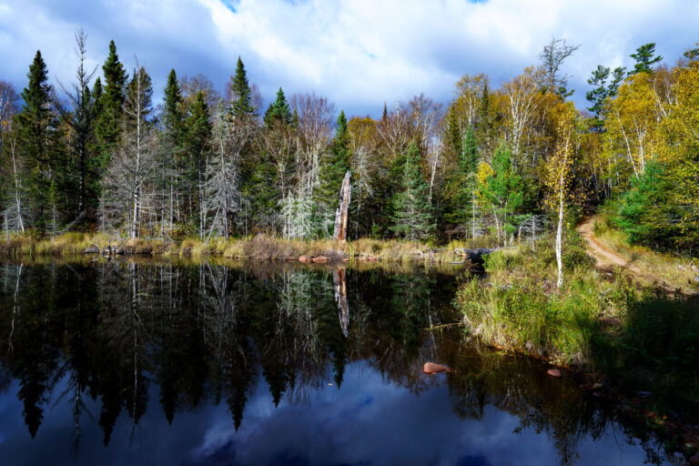 Superior National Forest, Minnesota: Autumn Colors Reflected 3 Autumn foliage reflects in a calm lake within Superior National Forest, Minnesota. A dirt path winds through the trees on the right bank.