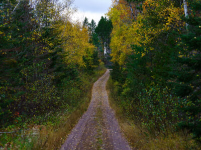 Timber Frear Loop, Superior National Forest, Minnesota
