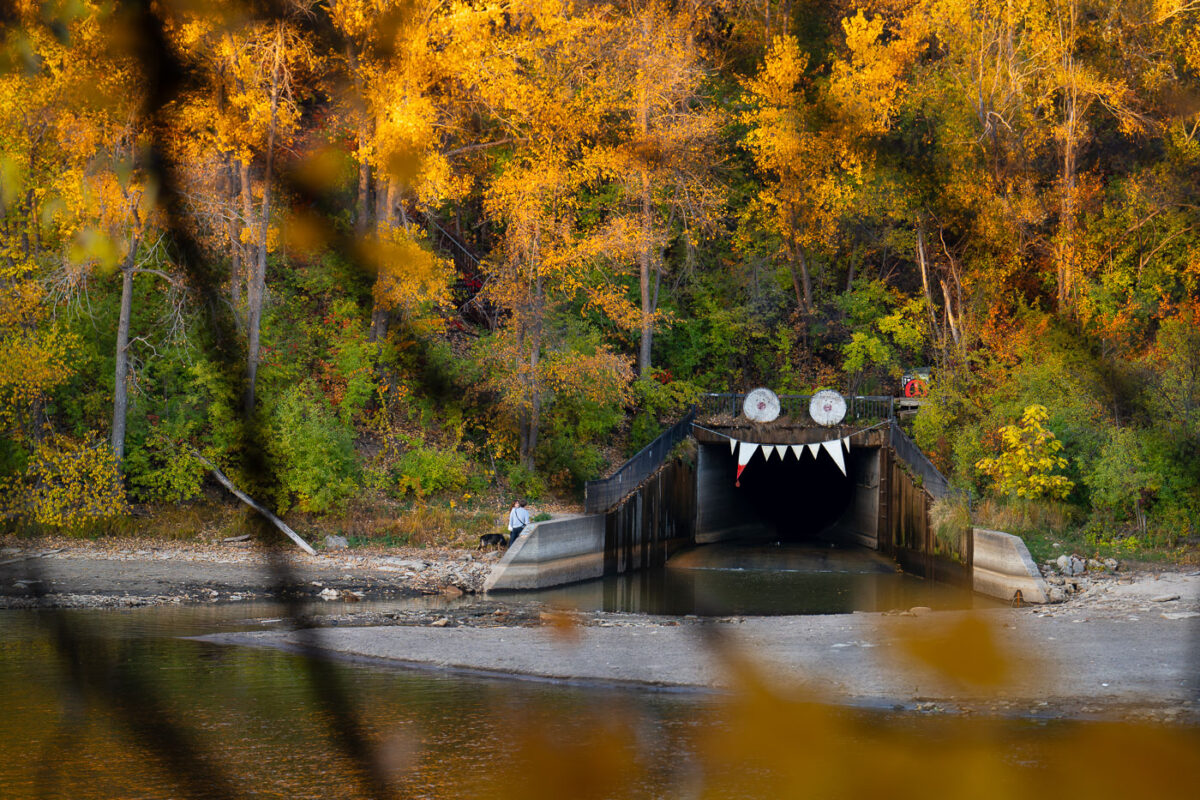The Winchell Trail tunnel entrance in Minneapolis, MN, decorated as a monster face, is surrounded by autumn foliage along the Mississippi River in October 2023.