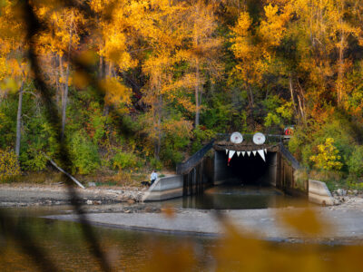 Winchell Trail Tunnel Entrance, Minneapolis, Autumn