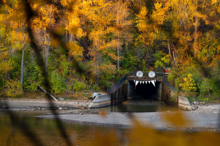 Winchell Trail Tunnel Entrance, Minneapolis, Autumn 1 The Winchell Trail tunnel entrance in Minneapolis, MN, decorated as a monster face, is surrounded by autumn foliage along the Mississippi River in October 2023.