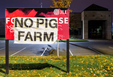 On November 2nd, 2023, 3 years 5 months after the Minneapolis police 3rd precinct was burned in the days after George Floyd's murder, City Council has voted 8-5 to approve a replacement site. Now called a "Community Safety Center", the plan is to rebuild a half mile away at 2633 Minnehaha Av.