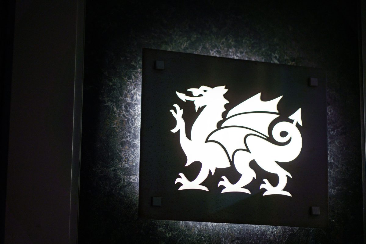 Welsh Dragon Emblem, Cambria Store, Downtown Minneapolis