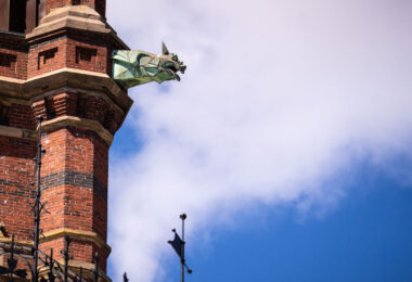 The gargoyles on Memorial Hall at Harvard University.