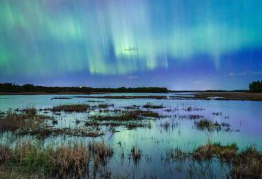 The northern lights show up near Minneapolis on May 10, 2024.