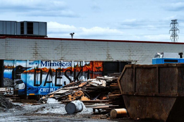 DAESK1 Critical Habitat Train 4 A DAESK1 painted train in North Minneapolis in June 2024.